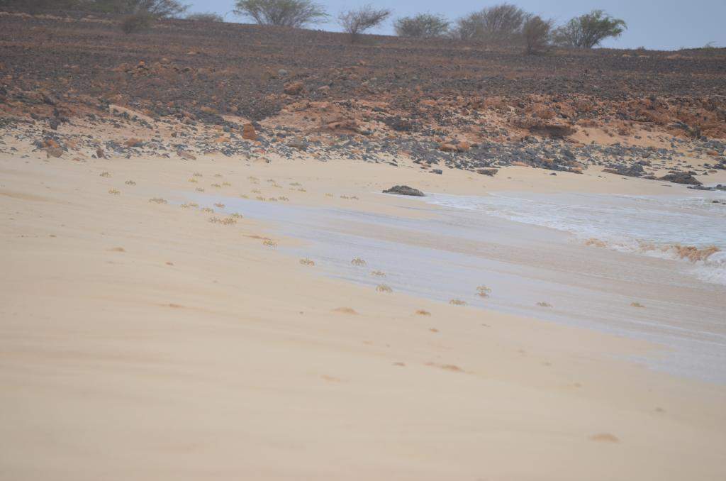 ai1370.photobucket.com_albums_ag256_hladeira_DSC_0276_zps916bbe56.jpg