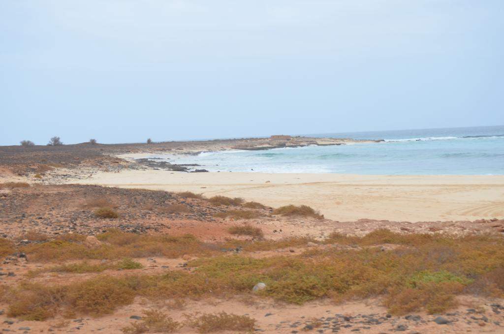ai1370.photobucket.com_albums_ag256_hladeira_DSC_0321_zps1c512319.jpg