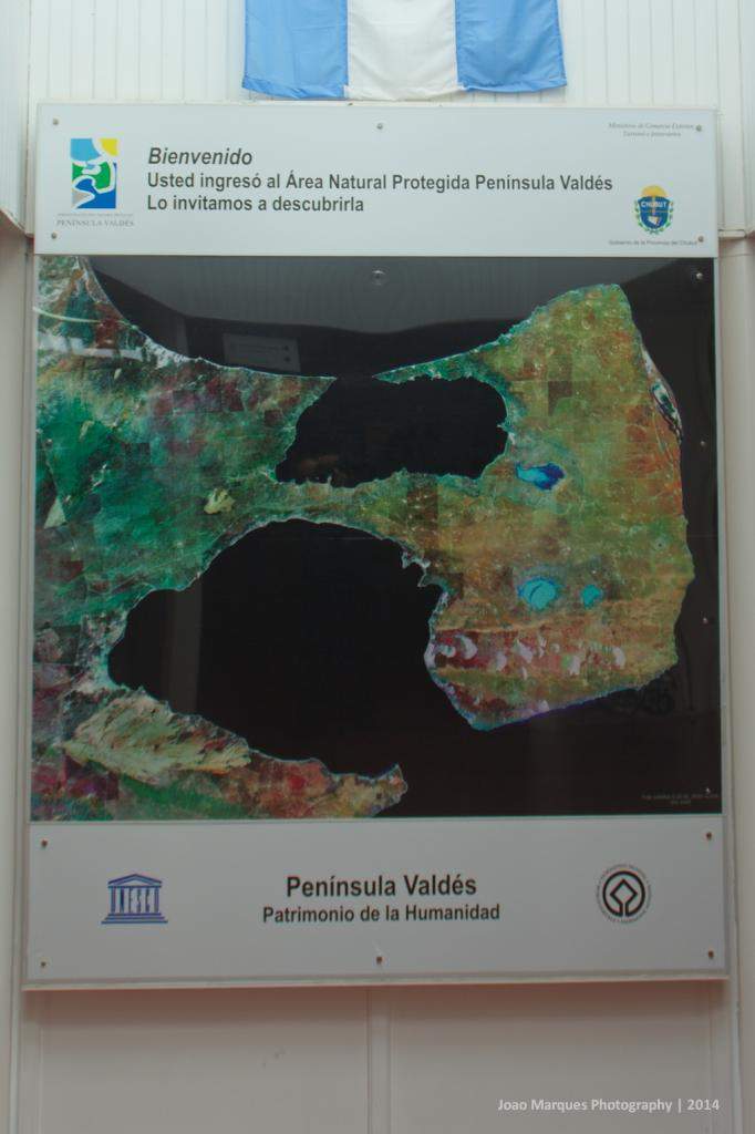 ai1372.photobucket.com_albums_ag332_JoaoMarques_Argentina_IMG_8515_zpsf528c92b.jpg