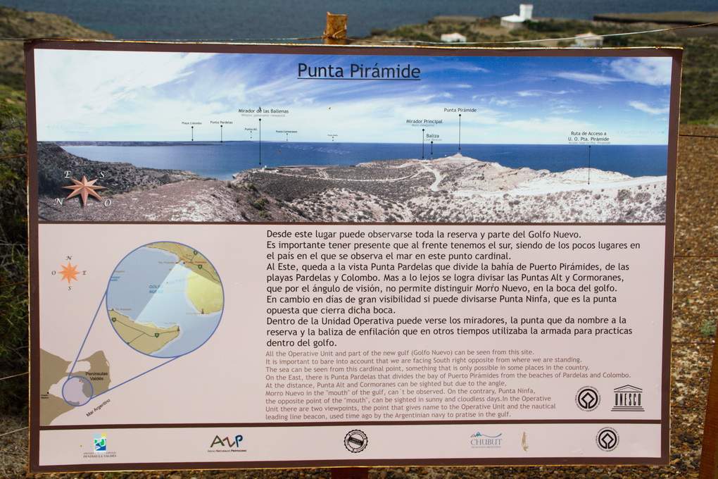 ai1372.photobucket.com_albums_ag332_JoaoMarques_Argentina_IMG_8666_zps7cefdbb5.jpg