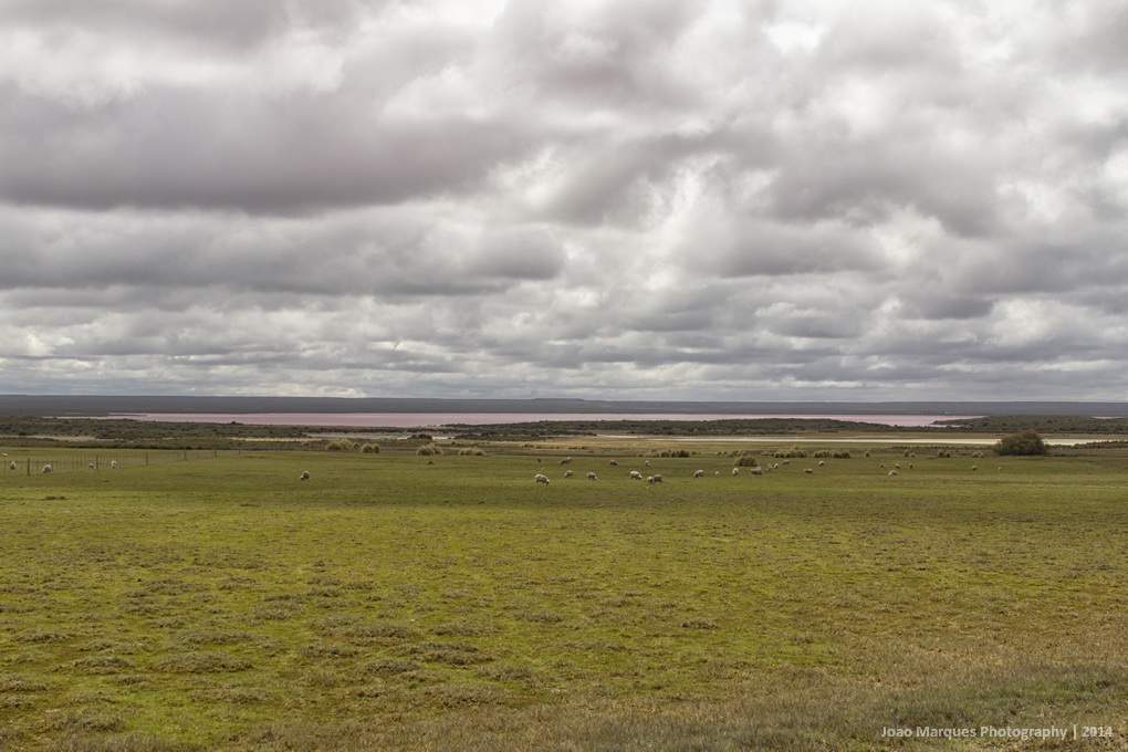 ai1372.photobucket.com_albums_ag332_JoaoMarques_Argentina_IMG_8680_zps41868d9f.jpg
