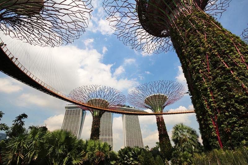 ai1373.photobucket.com_albums_ag395_albertoguedes1_Singapura_24_zpsoh331mns.jpg