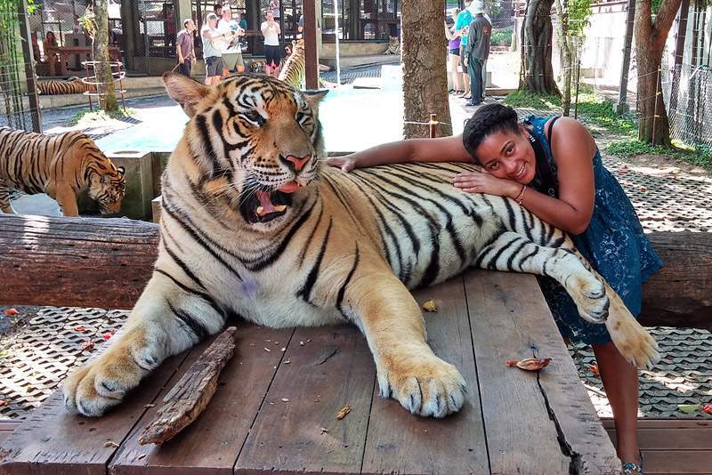 ai1373.photobucket.com_albums_ag395_albertoguedes1_Tailandia_20141206_132603_800_zpsb749434a.jpg
