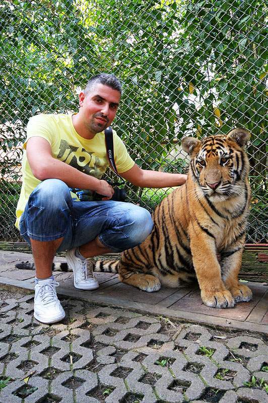 ai1373.photobucket.com_albums_ag395_albertoguedes1_Tailandia_IMG_0473_800_zps99e6ffd6.jpg
