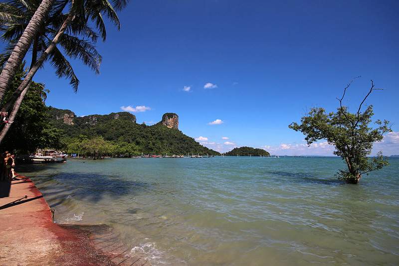 ai1373.photobucket.com_albums_ag395_albertoguedes1_Tailandia_IMG_0982_800_zps1389c72e.jpg