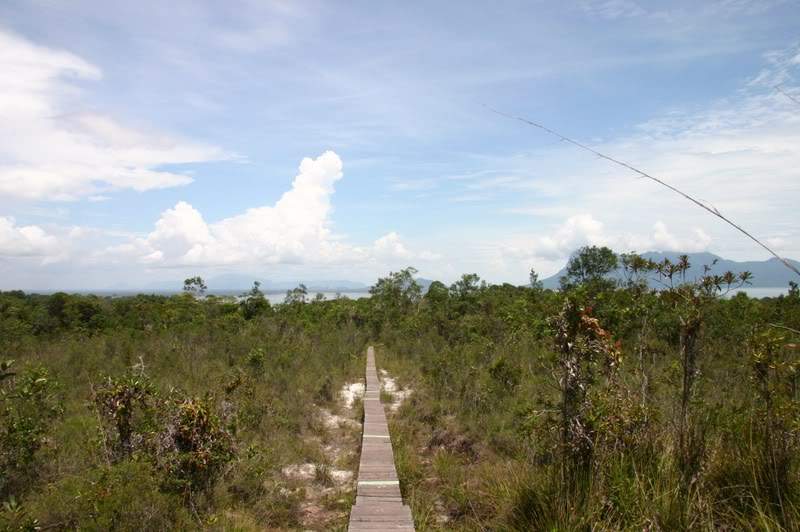 ai138.photobucket.com_albums_q278_CarlosLuz_Borneo2_IMG_7801.jpg
