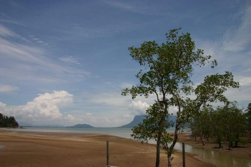 ai138.photobucket.com_albums_q278_CarlosLuz_Borneo2_IMG_7805.jpg