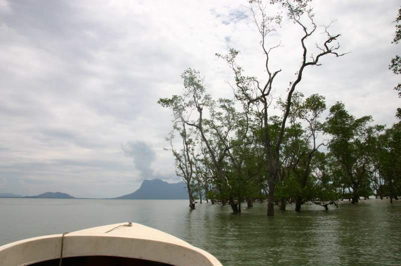 ai138.photobucket.com_albums_q278_CarlosLuz_Borneo2_IMG_7811.jpg