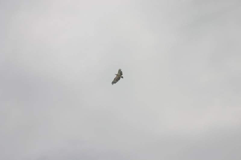 ai138.photobucket.com_albums_q278_CarlosLuz_Borneo2_IMG_7821.jpg