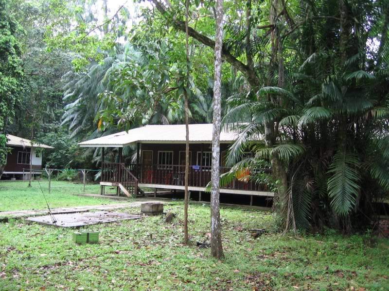 ai138.photobucket.com_albums_q278_CarlosLuz_Borneo_IMG_0387.jpg