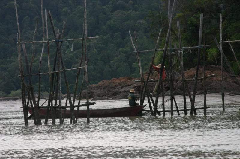 ai138.photobucket.com_albums_q278_CarlosLuz_Borneo_IMG_7579.jpg