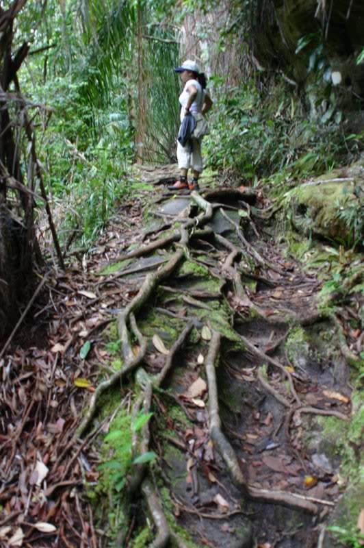 ai138.photobucket.com_albums_q278_CarlosLuz_Borneo_IMG_7592.jpg