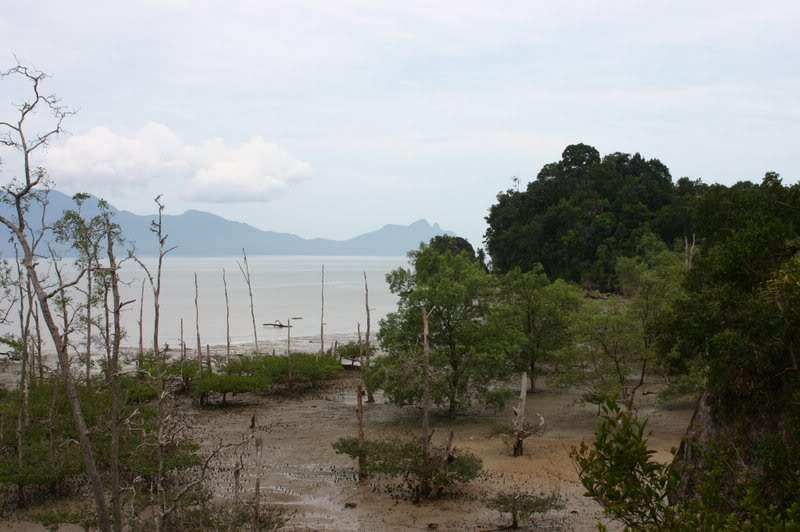 ai138.photobucket.com_albums_q278_CarlosLuz_Borneo_IMG_7597.jpg
