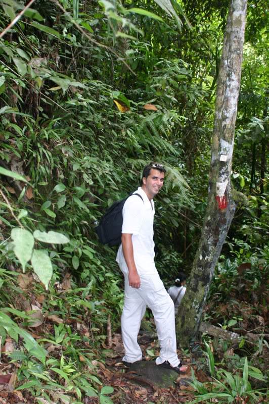 ai138.photobucket.com_albums_q278_CarlosLuz_Borneo_IMG_7664.jpg