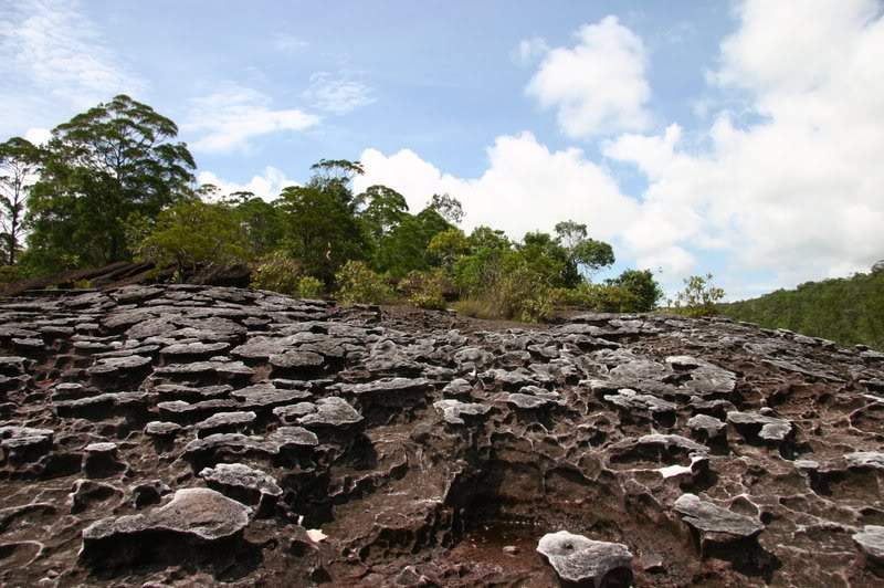 ai138.photobucket.com_albums_q278_CarlosLuz_Borneo_IMG_7790.jpg