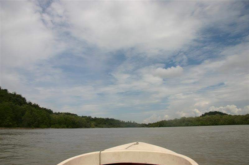 ai138.photobucket.com_albums_q278_CarlosLuz_Borneo_IMG_7817Medium.jpg
