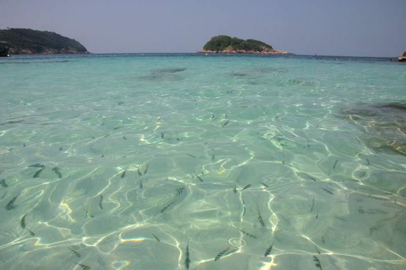 ai138.photobucket.com_albums_q278_CarlosLuz_Malasia_Redang_Malasia17.jpg