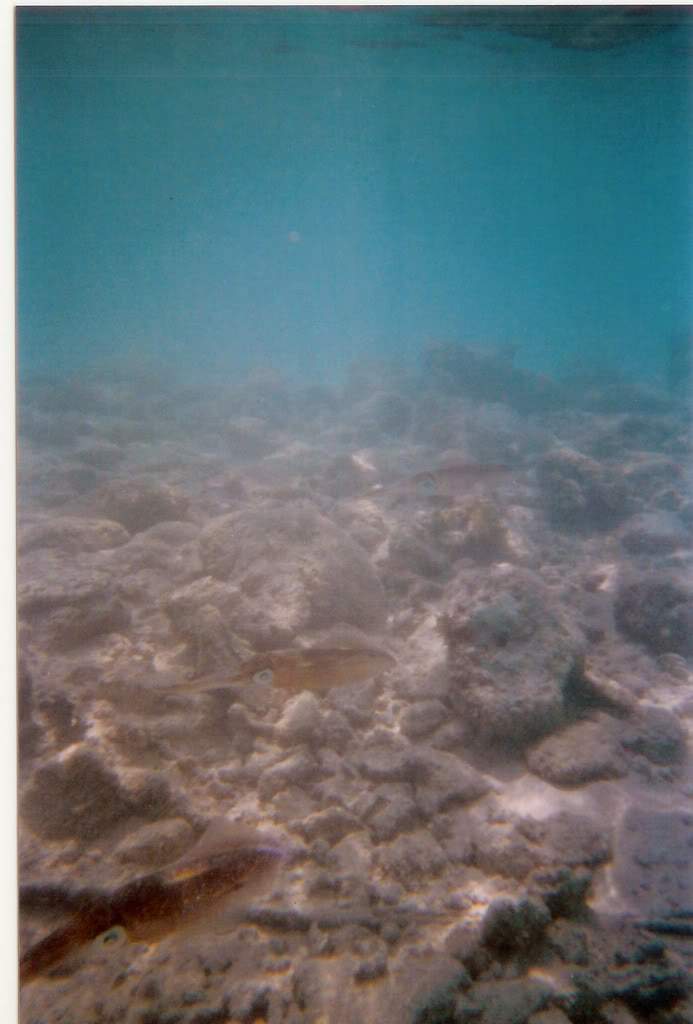 ai164.photobucket.com_albums_u31_RuiMAP_Dig13.jpg