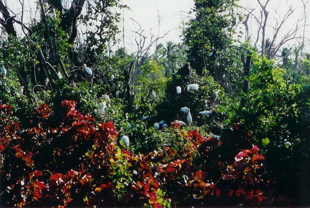 ai164.photobucket.com_albums_u31_RuiMAP_Digitalizar0045.jpg