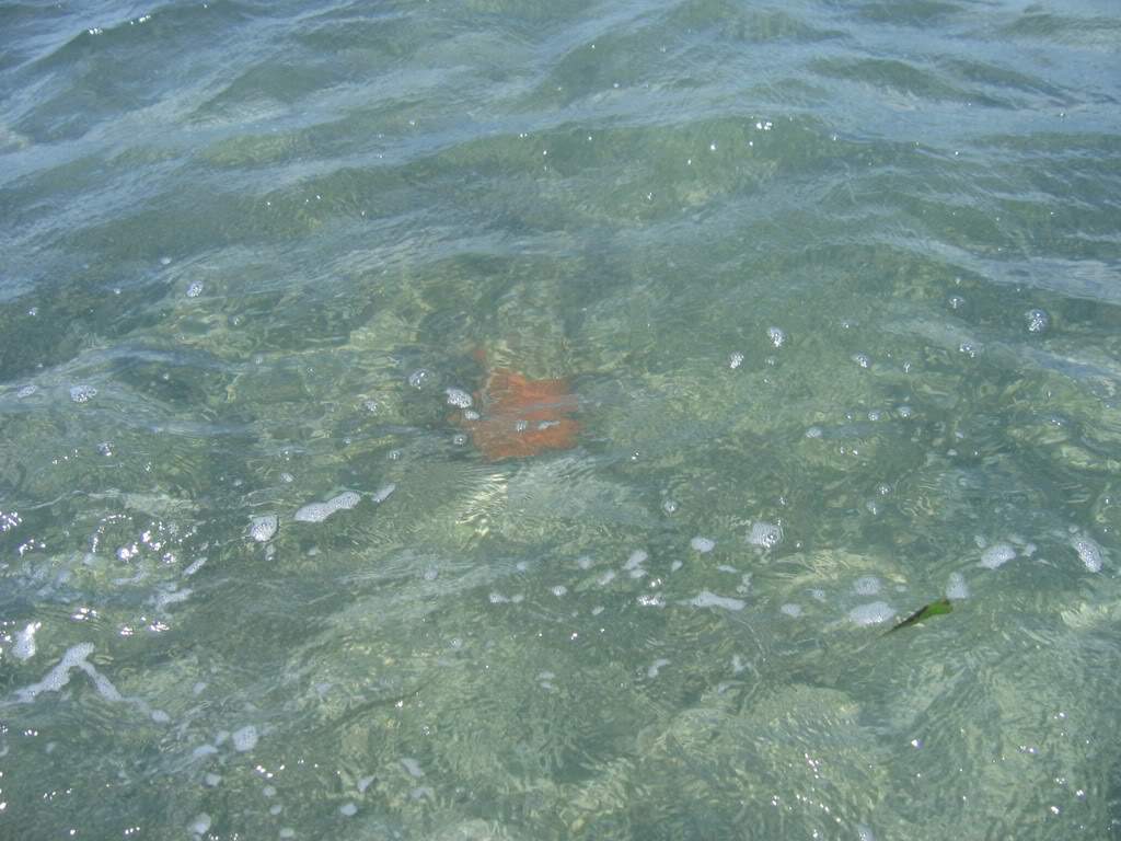 ai164.photobucket.com_albums_u31_RuiMAP_Mxico11a19_05_0895.jpg