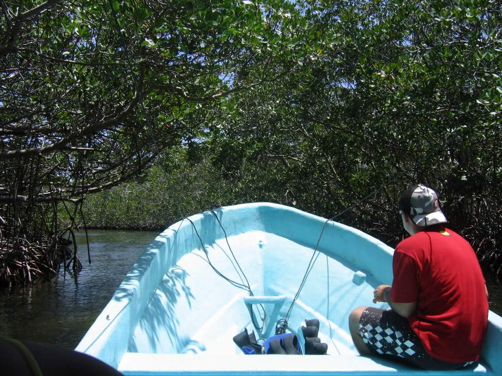ai164.photobucket.com_albums_u31_RuiMAP_Mxico200889.jpg