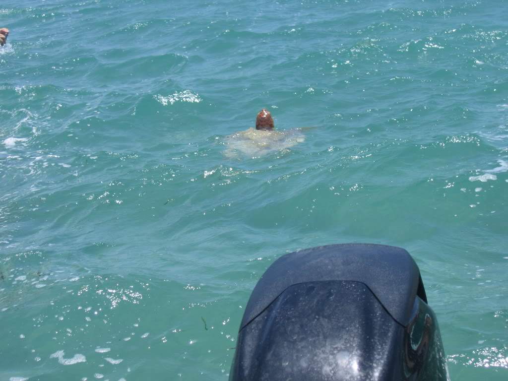 ai164.photobucket.com_albums_u31_RuiMAP_Mxico200895.jpg