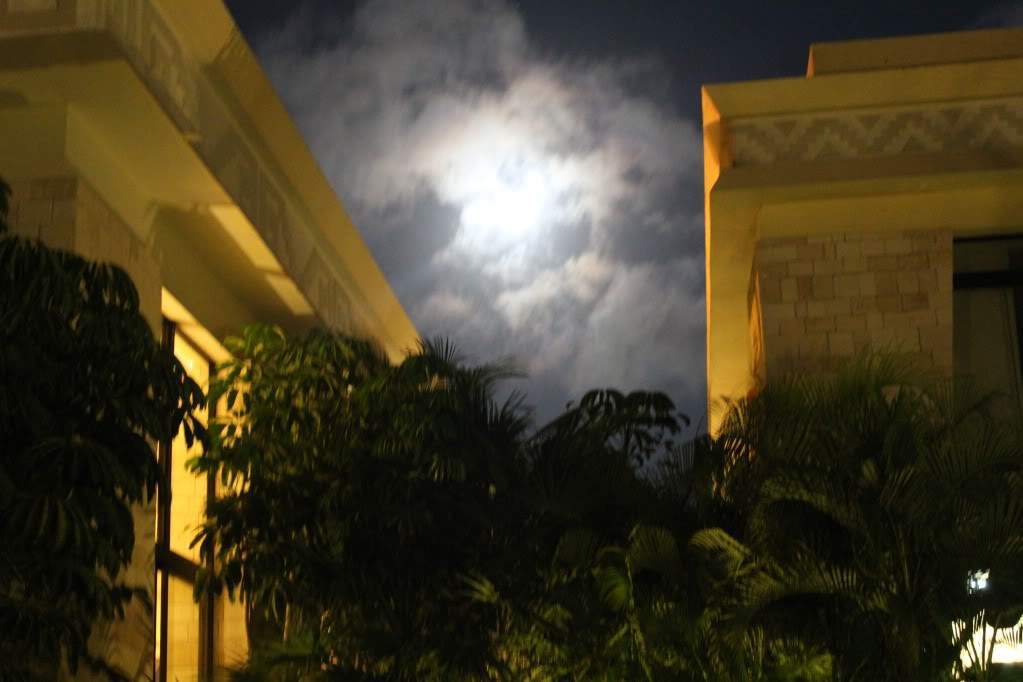 ai164.photobucket.com_albums_u31_RuiMAP_Riviera_20Maya_202011_IMG_6279.jpg