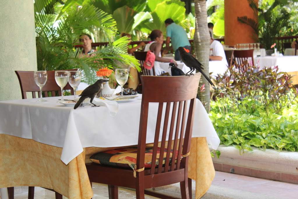 ai164.photobucket.com_albums_u31_RuiMAP_Riviera_20Maya_202011_IMG_6314_1.jpg