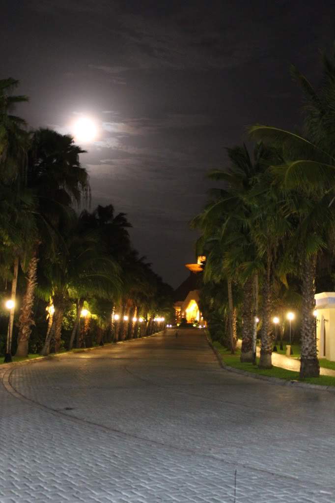 ai164.photobucket.com_albums_u31_RuiMAP_Riviera_20Maya_202011_IMG_6358_1.jpg