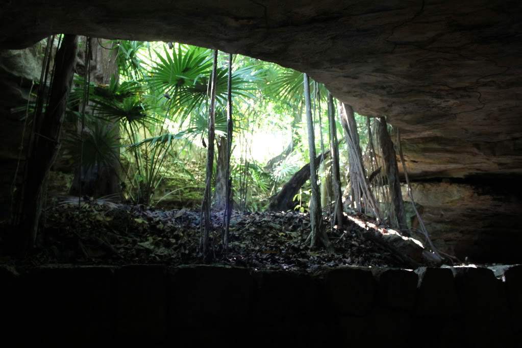 ai164.photobucket.com_albums_u31_RuiMAP_Riviera_20Maya_202011_IMG_6452.jpg
