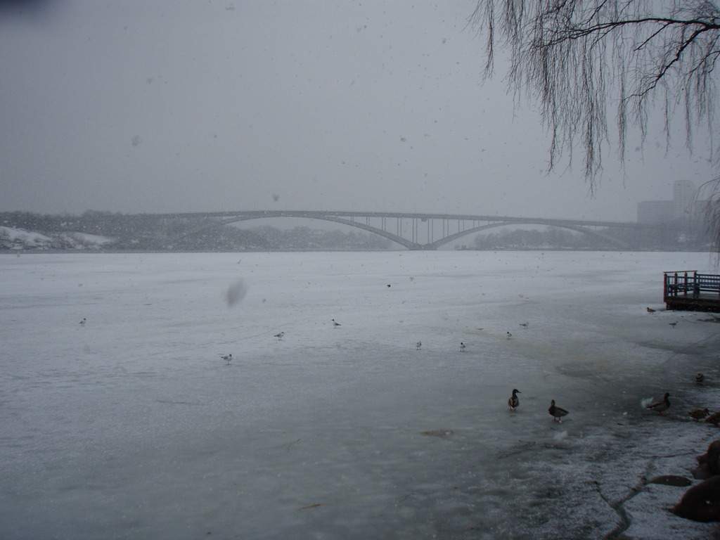 ai172.photobucket.com_albums_w10_PL881_P3211094_zpshj1te3du.jpg