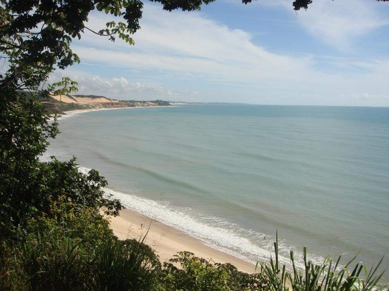 ai201.photobucket.com_albums_aa294_carlos_lopes_Brasil_DSC02981.jpg