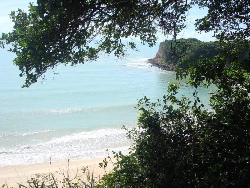 ai201.photobucket.com_albums_aa294_carlos_lopes_Brasil_DSC02982.jpg