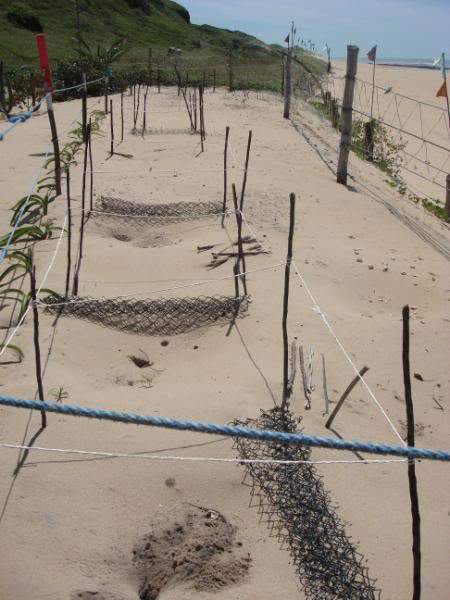 ai201.photobucket.com_albums_aa294_carlos_lopes_Brasil_DSC03028.jpg