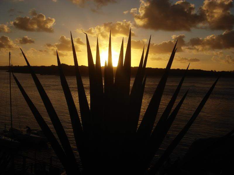 ai201.photobucket.com_albums_aa294_carlos_lopes_Brasil_DSC03348_1.jpg