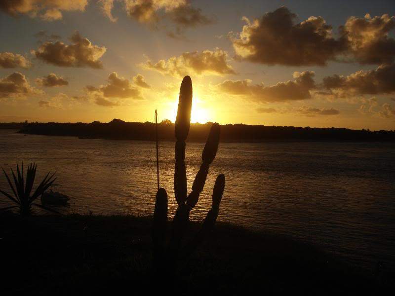 ai201.photobucket.com_albums_aa294_carlos_lopes_Brasil_DSC03349.jpg