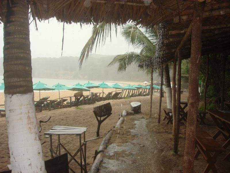 ai201.photobucket.com_albums_aa294_carlos_lopes_Brasil_DSC03427.jpg