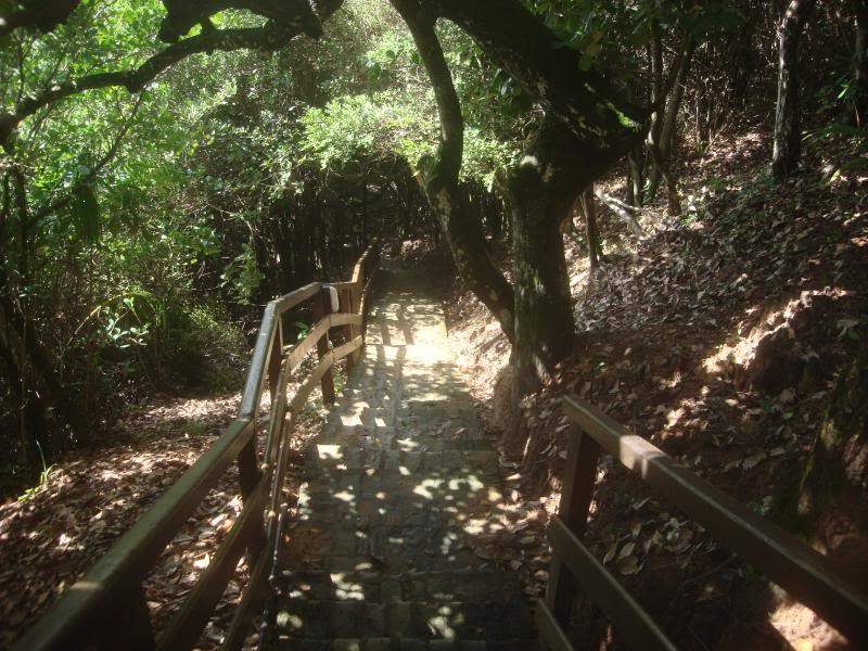 ai201.photobucket.com_albums_aa294_carlos_lopes_Brasil_DSC03586.jpg