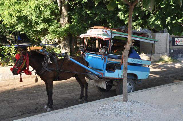 ai201.photobucket.com_albums_aa294_carlos_lopes_Indonesia_Gili_DSC_0144.jpg