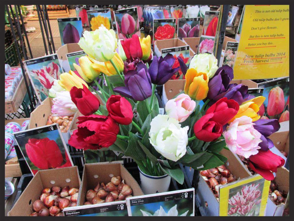ai225.photobucket.com_albums_dd306_aserodio_2014_Amsterdam_691862a1ef5c8868e6c1cfbcdb587b984c5.jpg