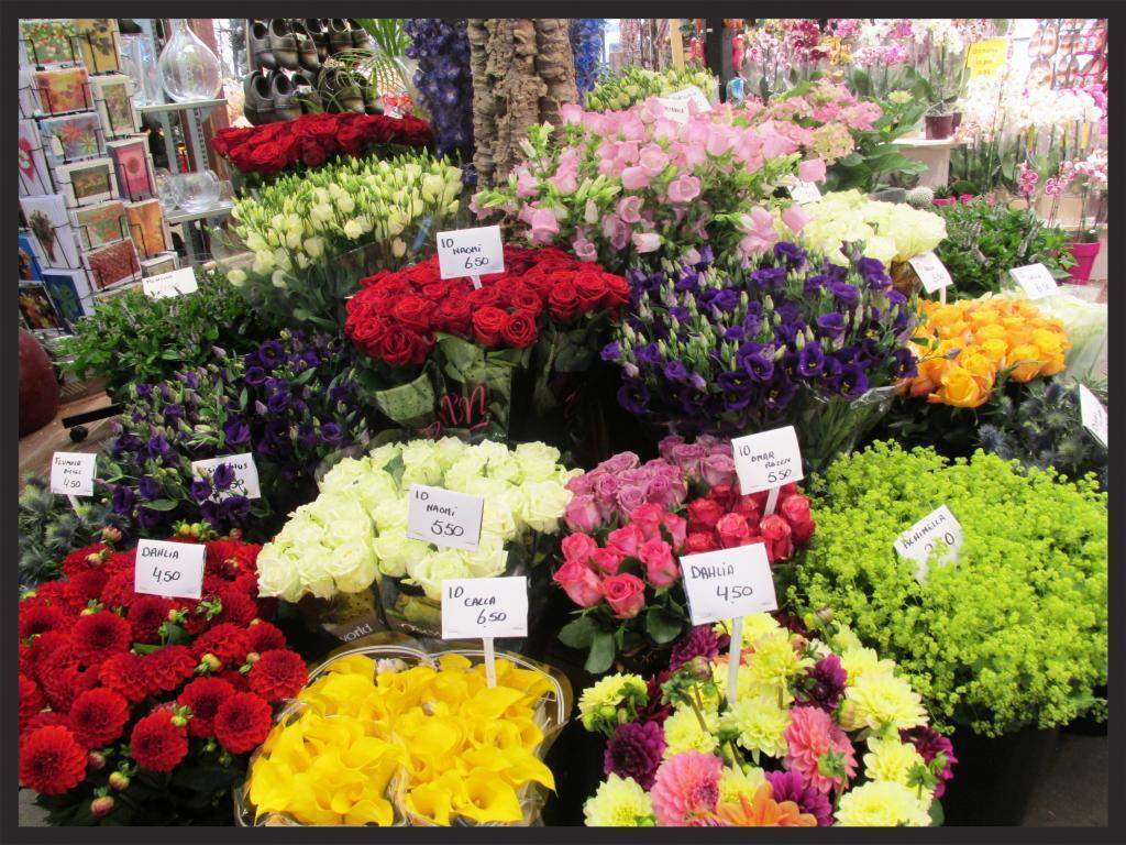ai225.photobucket.com_albums_dd306_aserodio_2014_Amsterdam_9af3222d2e3c600be15cdaddf42e006bf27.jpg