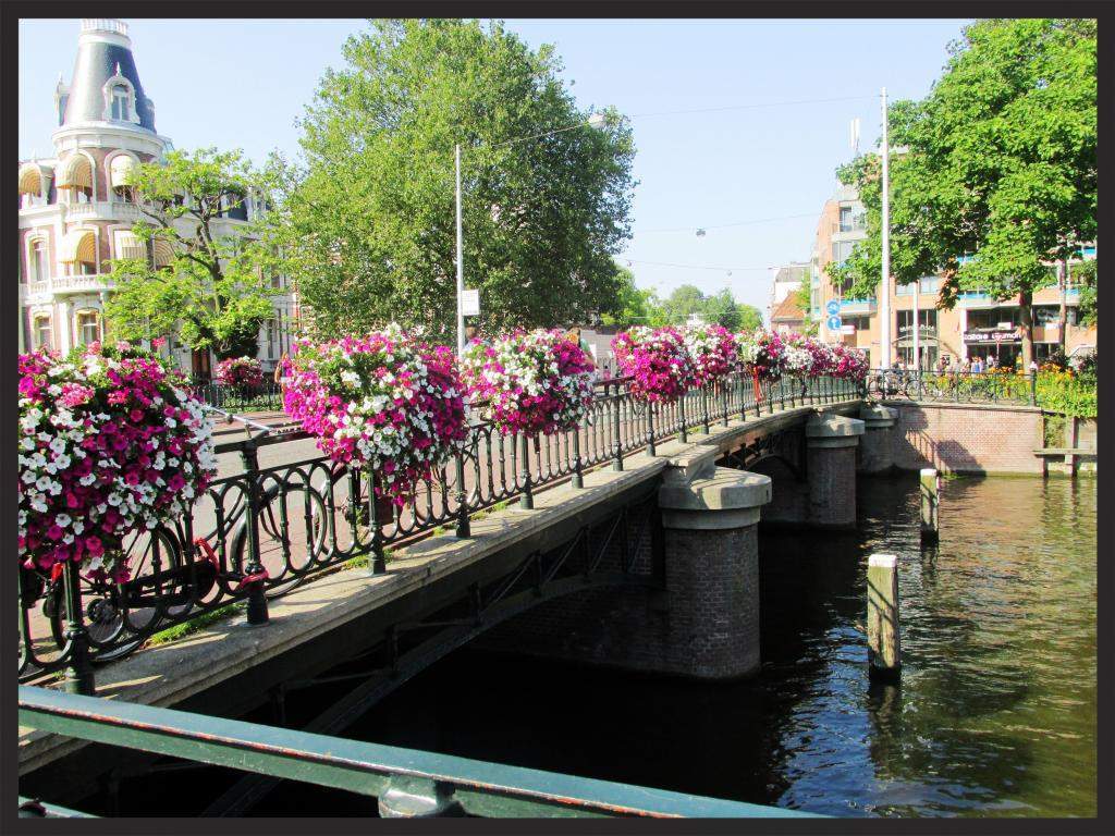 ai225.photobucket.com_albums_dd306_aserodio_2014_Amsterdam_c592b66083e7f5ddd1784e34e6c6959e0a1.jpg