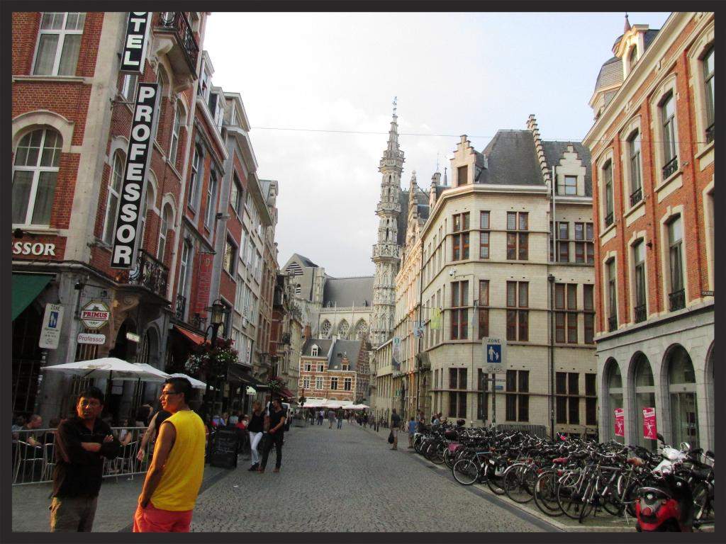 ai225.photobucket.com_albums_dd306_aserodio_2014_Leuven_e9e552eba5f2cb1533bbe8a3b5d111d36d3c61.jpg