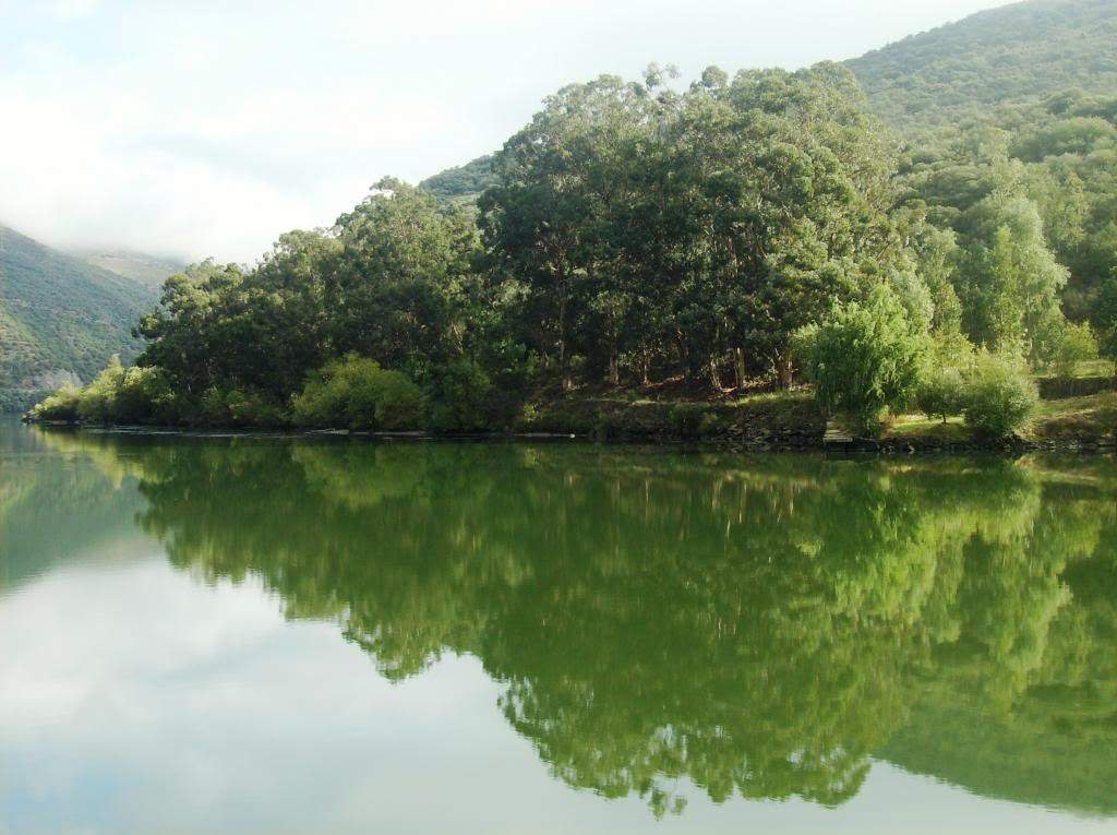 ai225.photobucket.com_albums_dd306_aserodio_cruzeirodouro_HPIM7700.jpg