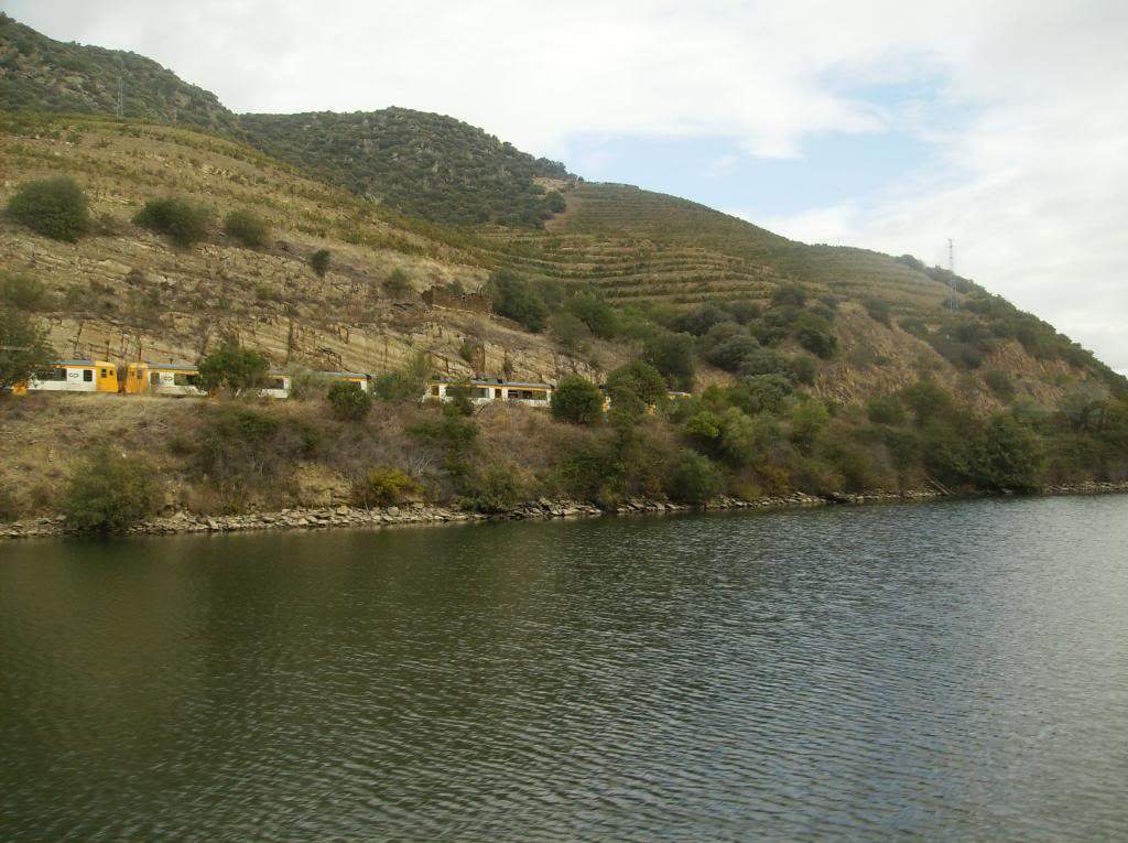 ai225.photobucket.com_albums_dd306_aserodio_cruzeirodouro_HPIM7808.jpg