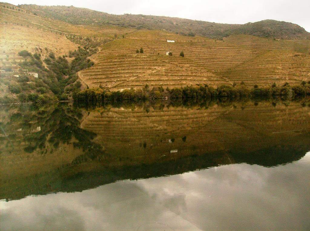ai225.photobucket.com_albums_dd306_aserodio_cruzeirodouro_HPIM7817.jpg