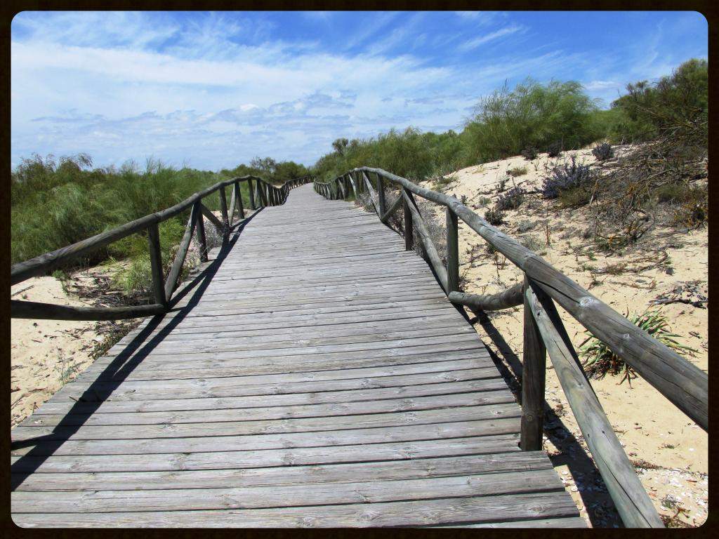 ai225.photobucket.com_albums_dd306_aserodio_El_20Rompido_PRAIA33d394aa97b924ec0c494ea32b62242a.jpg