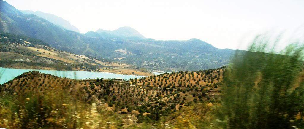 ai225.photobucket.com_albums_dd306_aserodio_FERIAS_202012_caminho_zpscf613394.jpg