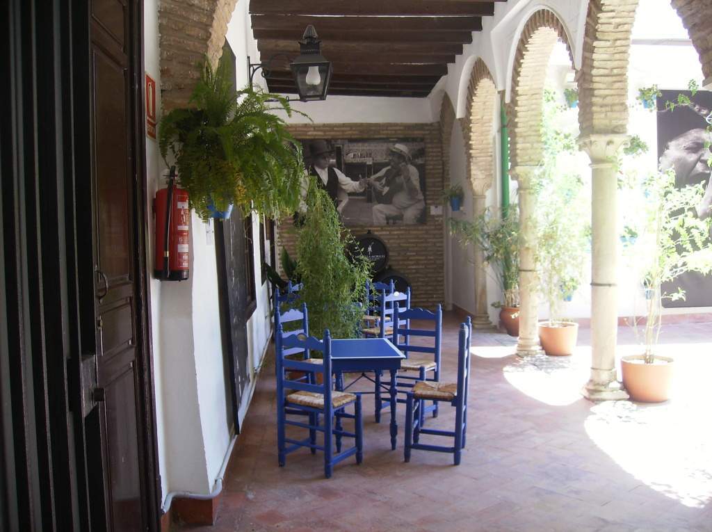 ai225.photobucket.com_albums_dd306_aserodio_PATIOS_FRIAS2012436.jpg
