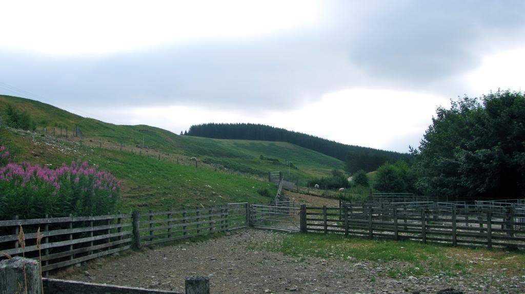 ai225.photobucket.com_albums_dd306_aserodio_Scotland_casa_IMG_0777_zpse15d9434.jpg